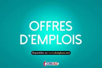 commercial-marketing-offre-demploi-setif-algerie