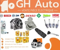 Vente pièce électrique auto démarreur alternateur régulateur induit bougie lampe résistance 