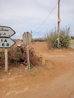 vente-mostaganem-stidia-algerie