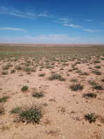 terrain-agricole-vente-djelfa-benhar-algerie