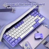 لوحة-المفاتيح-الفأرة-clavier-mecanique-gaming-65-compact-filaire-avec-hotswap-et-retroeclairage-rainbow-مفاتيح-ميكانيكية-شرشال-تيبازة-الجزائر