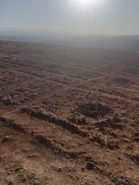 Vente Terrain Agricole Tlemcen Sidi abdelli