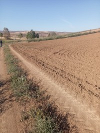 أرض-فلاحية-بيع-تلمسان-بن-سكران-الجزائر