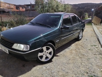 voitures-peugeot-405-1990-bordj-bou-arreridj-algerie