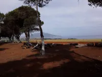 Vente Terrain Tipaza Tipaza