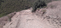 construction-travaux-terrain-a-batir-bejaia-algerie