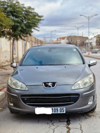 voitures-peugeot-407-2009-batna-algerie