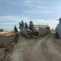 hangar-location-boumerdes-khemis-el-khechna-algerie