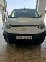 utilitaire-fiat-professional-k9-2023-mila-algerie