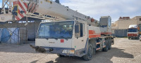 engin-zoom-leon-grue-20t-2011-kais-khenchela-algerie