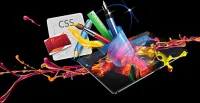 Infographie (Photoshop, InDesign , Illustrator) 