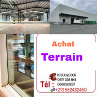 terrain-cherche-achat-oran-algerie