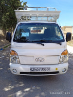 camion-hyundai-h100-2008-bejaia-algerie