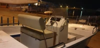 Boston Whaler Boston Whaler 