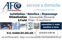 froid-climatisation-reparation-et-installation-a-domicile-alger-centre-algerie