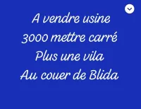 Vente Hangar Blida Blida