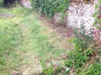 تنظيف-و-بستنة-defrichage-nettoyage-de-jardin-rapide-propre-efficace-الأربعاء-ناث-إيراثن-تيزي-وزو-الجزائر