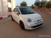 voitures-fiat-500-2023-club-tlemcen-algerie