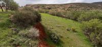 terrain-vente-tlemcen-ain-fezza-algerie