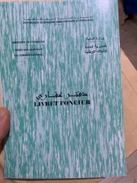 Vente Terrain Chlef Boukadir