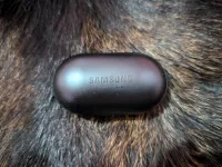 Écouteurs Bluetooth Samsung Buds plus