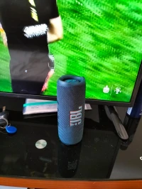JBL flip 6 