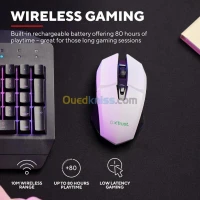 GAMING X TRUST - 3 EN 1 GAMING BUNDLE - CLAVIER QWERTY TKL - SOURIS - TAPIS - MULTIPLATFORM - WHITE 