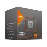 processeur-amd-ryzen-5-8600g-avec-ventilo-am5-socket-22mo-cache-6-coeurs-43-ghz-upto-kouba-alger-algerie