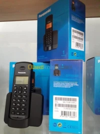 Panasonic Sans Fil KX-TGB10AF