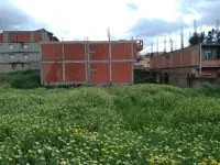 Vente Terrain Alger Baba hassen