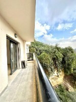 appartement-vente-f3-alger-el-madania-algerie