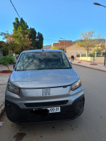 voitures-fiat-professional-doblo-2024-ain-defla-algerie