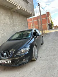 Seat Leon 2012 Copa