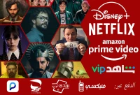 NETFLIX AMAZON PRIME VIDEO DISNEY PLUS +