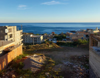 terrain-vente-el-tarf-kala-algerie