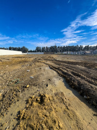 terrain-location-alger-baraki-algerie