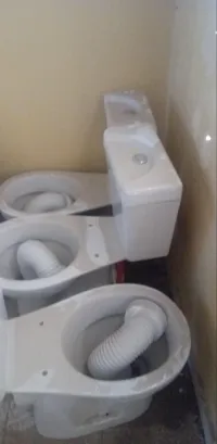 سلعة عنابة