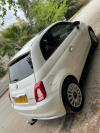سيارات-fiat-500-2025-cult-mib-الكاليتوس-الجزائر