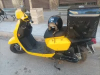 VMS VMS 2022