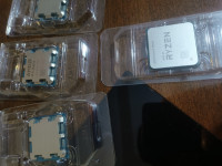 processeur-amd-ryzen-5-9600x-7-5700x-setif-algerie