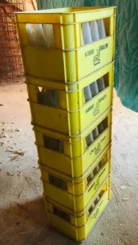 Emballage Hamoud Boualem petit modèle 