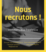 commercial-marketing-des-commerciaux-freelance-oued-smar-alger-algerie