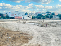 terrain-vente-alger-ouled-chebel-algerie