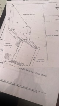 أرض-بيع-الجزائر-أولاد-فايت