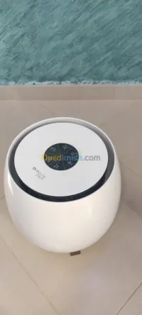 تيارت