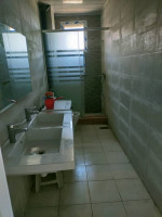 appartement-location-f3-alger-hraoua-algerie