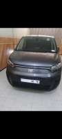 utilitaire-fiat-doblo-2024-ain-oulmene-setif-algerie