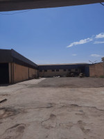 hangar-location-oran-sidi-chami-algerie