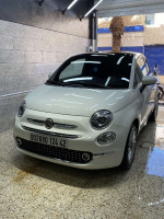 voitures-fiat-500-2024-club-kolea-tipaza-algerie