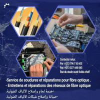 bureautique-internet-traitement-installations-maintenance-fibre-optique-chlef-algerie